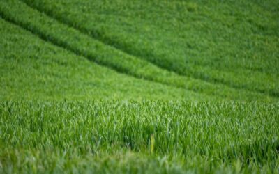 “Great Salt Lake Economic Impact” / The Great Salt Lake:…