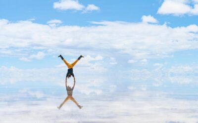 Great Salt Lake Ecosystem Protection » The Great Salt Lake:…