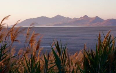 “Great Salt Lake Sustainable Agriculture”: The Great Salt Lake: A…