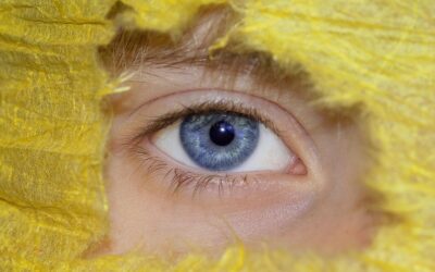 Historical Context And Human Activities Contributing To The Decline /…