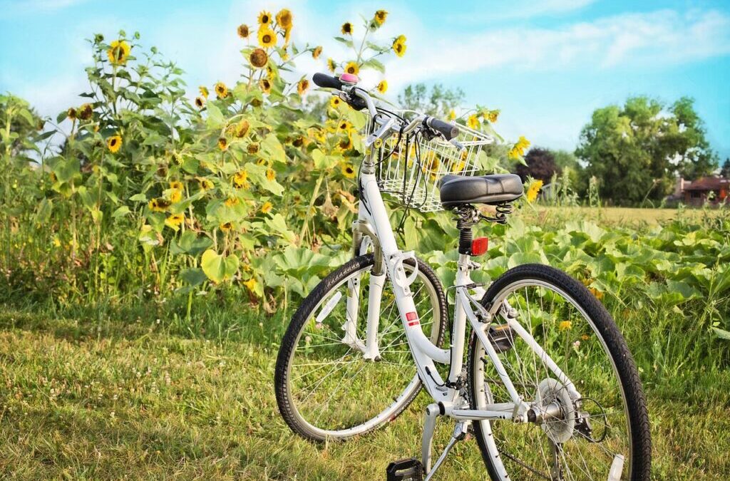Hydrologic Cycle – The Amazing Water Journey Of Laguna Salada:…