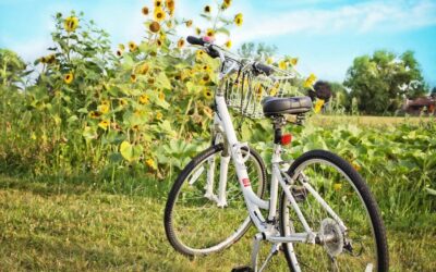 Hydrologic Cycle – The Amazing Water Journey Of Laguna Salada:…
