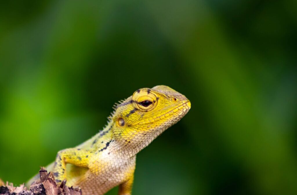 Innovative Water Projects: Highlight Pioneering Water Projects And Initiatives Both…