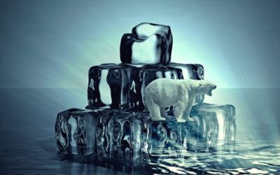 Innovative Climate Rescue Solutions By Active Climate Rescue Initiative: Can…