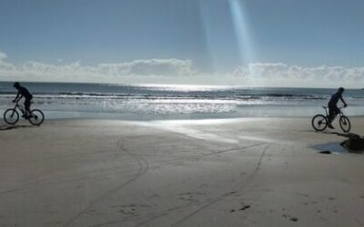 Innovative Water Cycle Reclamation | 💧 Saving Our Planet, One…