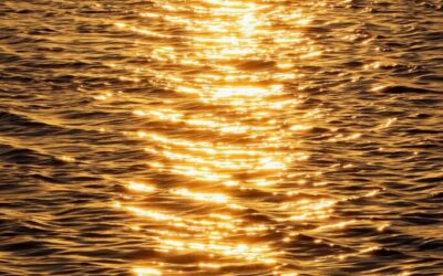 Innovative Water Transfer Methods / Saving The Great Salt Lake:…