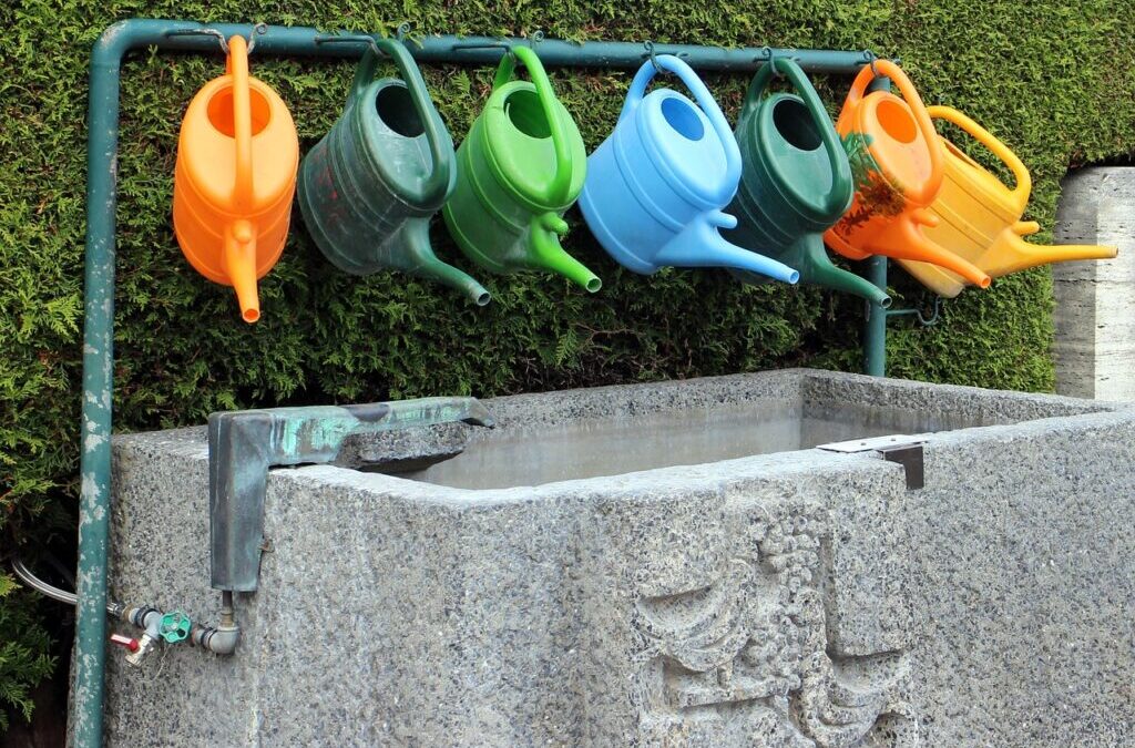 Irrigation Water Solutions / The Great Basin’s Thirst: A Race…