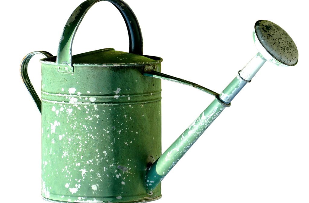 Irrigation Water Solutions | The Great Salt Lake: A Sea…