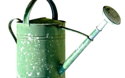 Irrigation Water Solutions | The Great Salt Lake: A Sea…