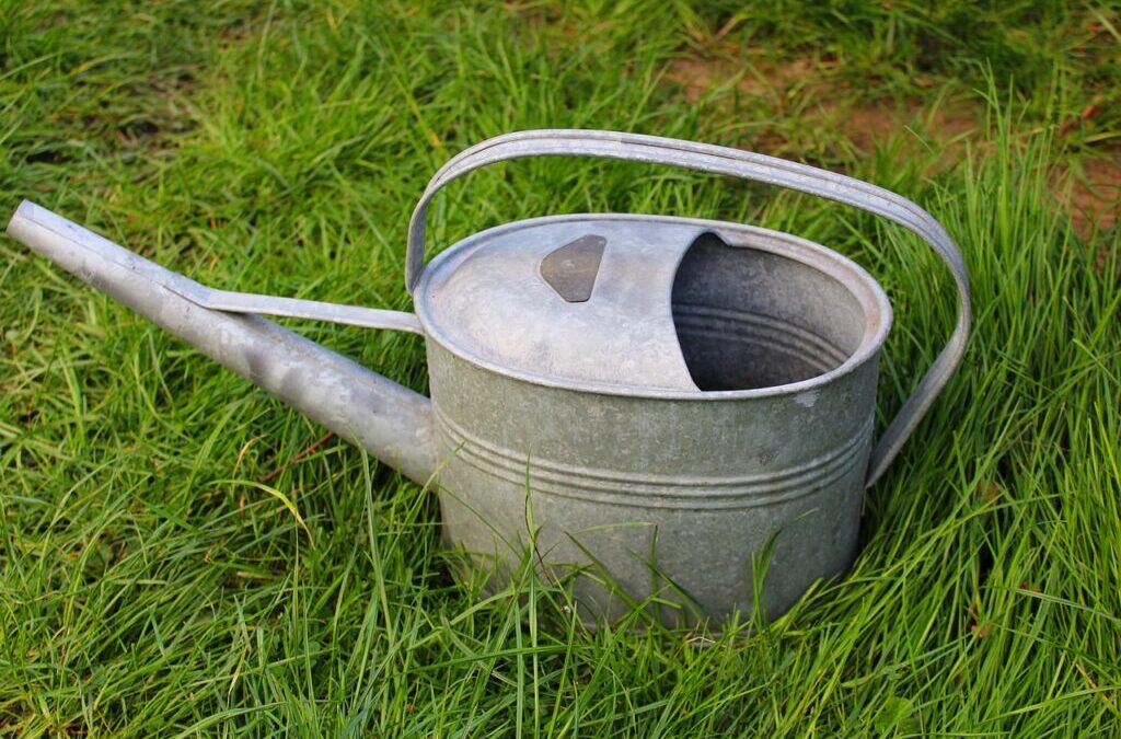 Irrigation Water Solutions » The Great Basin: A Thirsty Land…