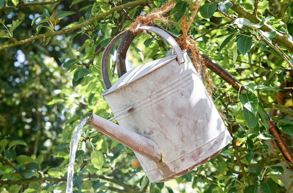 Irrigation Water Solutions – The Great Basin: A Thirsty Land…