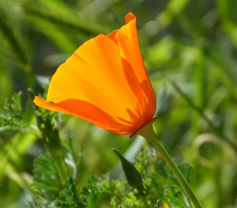 Laguna Salada Baja California Weather Patterns – Laguna Salada: A…