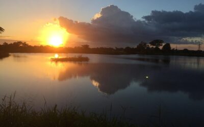 Laguna Salada – Laguna Salada: A Desert Oasis Facing A…