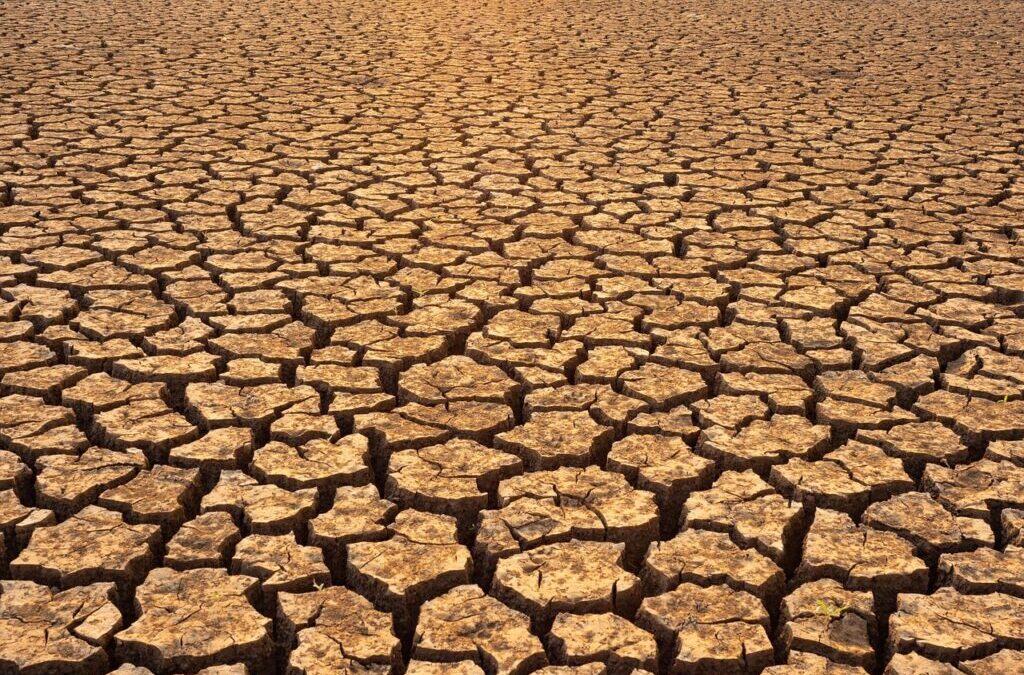 Lake Drought Repair Initiatives: Saving Our Water: A Look At…