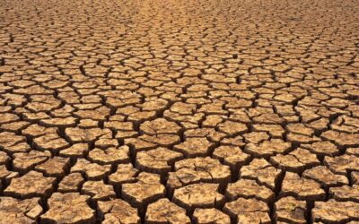 Lake Drought Repair Initiatives: Saving Our Water: A Look At…