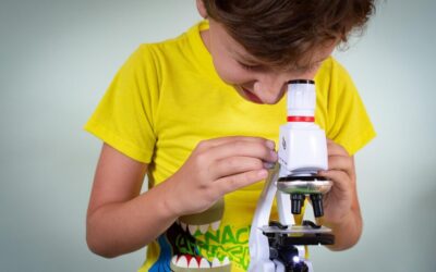 Lessons Learned And Best Practices – The Great Salt Lake:…