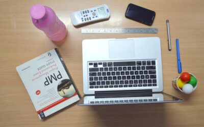 Long-term Water Shortage Management ~ The Great Basin: A Thirsty…