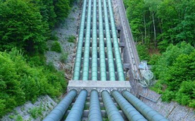 Long-term Water Shortage Management – The Great Basin: A Thirsty…