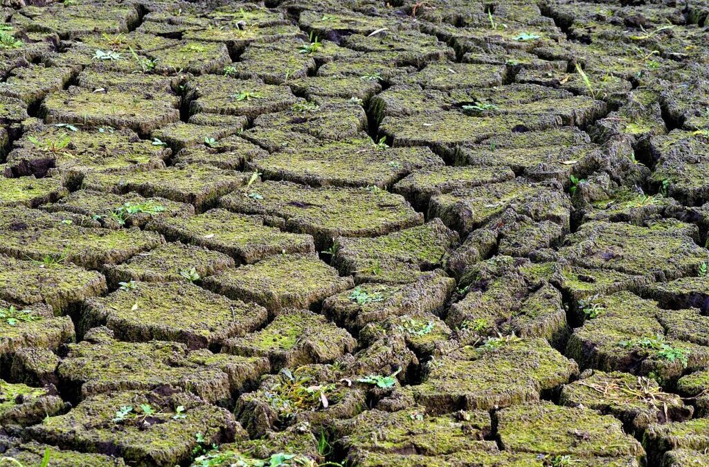 Mega Drought » The Big, Dry Threat: Mega Drought In…