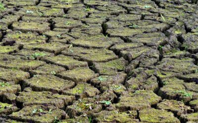 Mega Drought » The Big, Dry Threat: Mega Drought In…