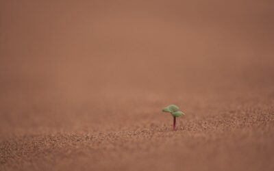 Mega Drought » Earth’s Thirst: Understanding Mega Droughts TL;DR: Mega…