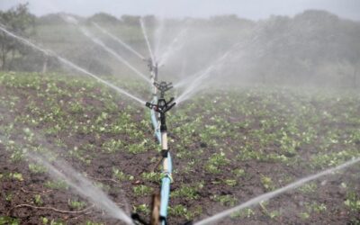Move Water For Irrigation Systems ~ Idaho’s Thirsty Crops: Can…