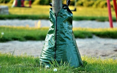 Precision Irrigation Techniques And Sustainable Watershed Management ~ The Great…