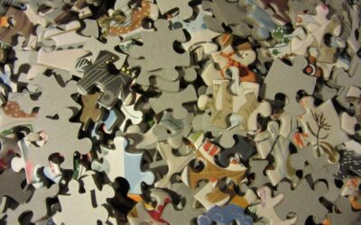 Proposed Solutions | The Great Salt Lake: A Sea In…