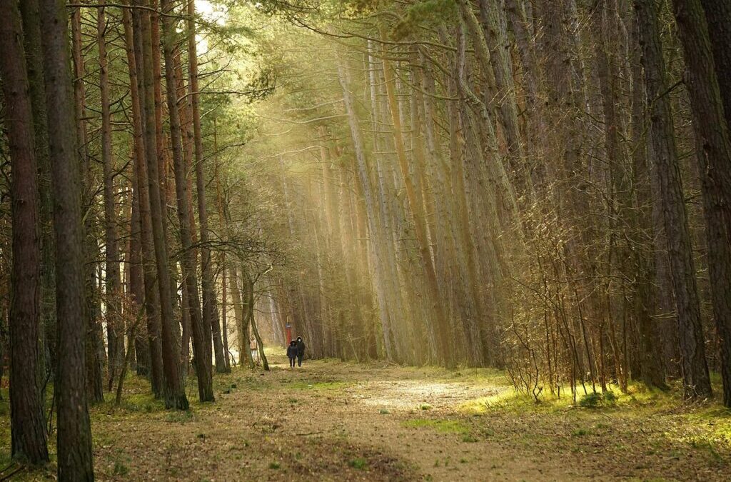Related Keywords / The Laguna Salada: A Desert Oasis Facing…