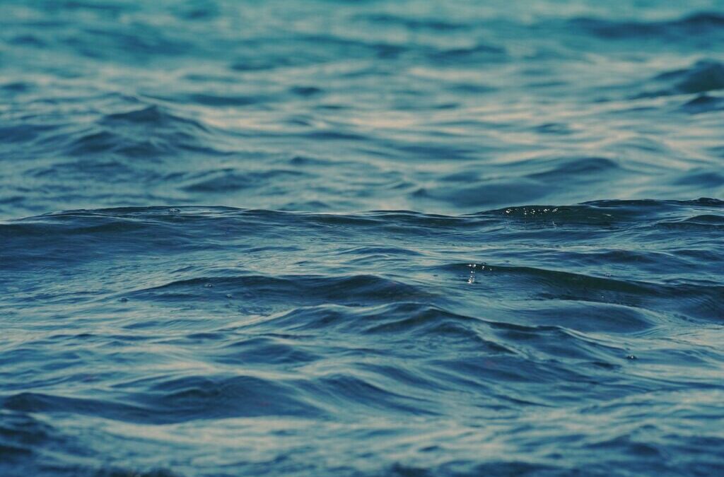 Salton Sea Hydrology: The Laguna Salada: A Desert Oasis Facing…