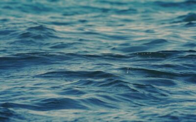 Salton Sea Hydrology: The Laguna Salada: A Desert Oasis Facing…