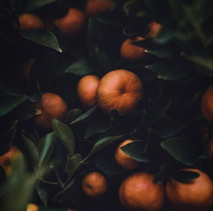 Smart Irrigation Technology For Agriculture ~ The Great Salt Lake:…