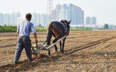 Smart Irrigation Technology For Agriculture ~ The Great Salt Lake:…