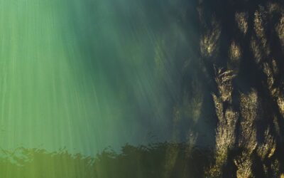 Solutions For Great Salt Lake Water Level Decline / The…