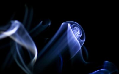 Summary Of Key Points ~ The Great Salt Lake: A…