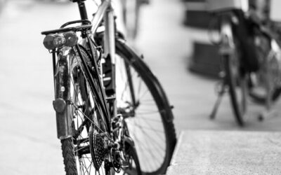 Sustainable Water Cycle Management – Thirsty Land: The Great Basin’s…