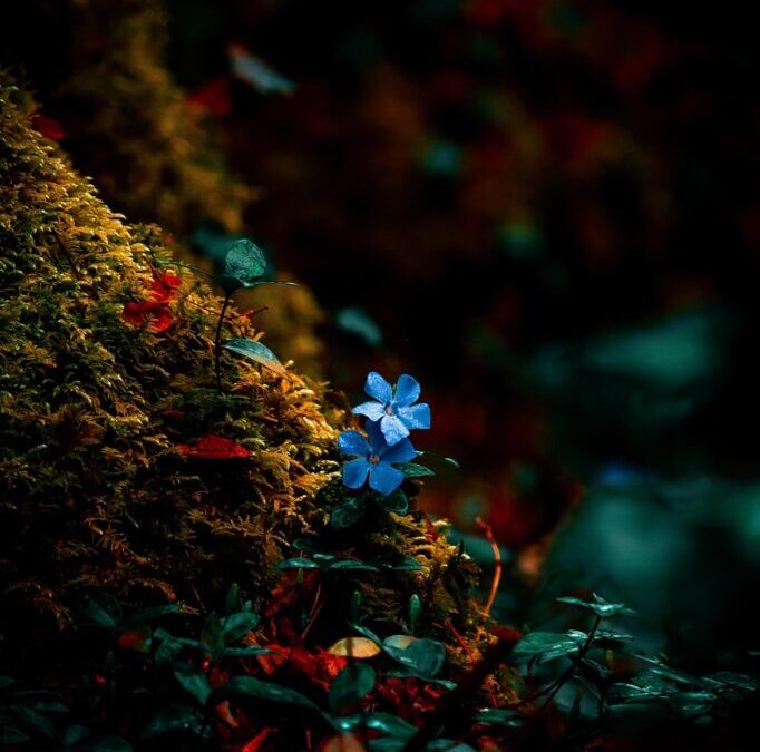 Sustainable Water Usage Practices / The Great Basin: A Thirsty…