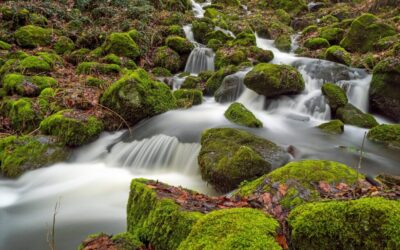 Techniques To Improve Water Cycle Efficiency ~ The Great Basin:…