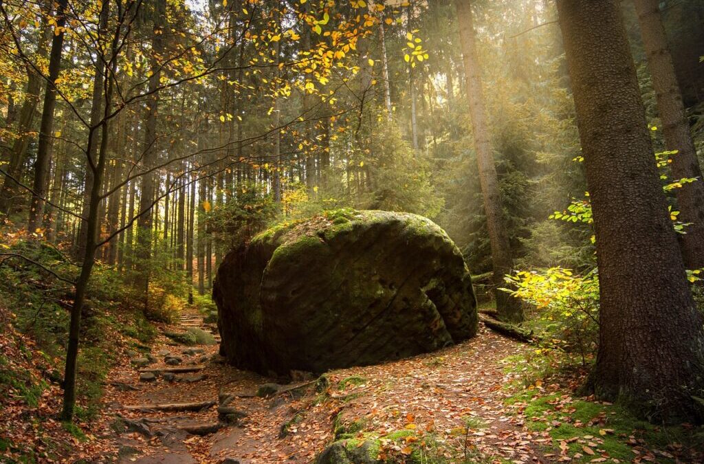 Technological Innovations: New Technologies And Methods For Water Management And…