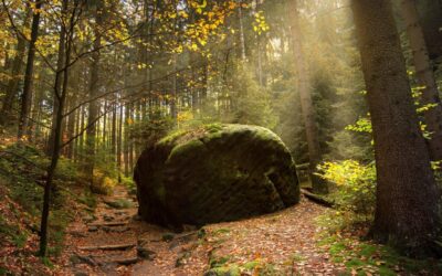 Technological Innovations: New Technologies And Methods For Water Management And…