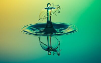 Water Cycle Improvement – 💦 Thirsty Land: The Great Basin’s…