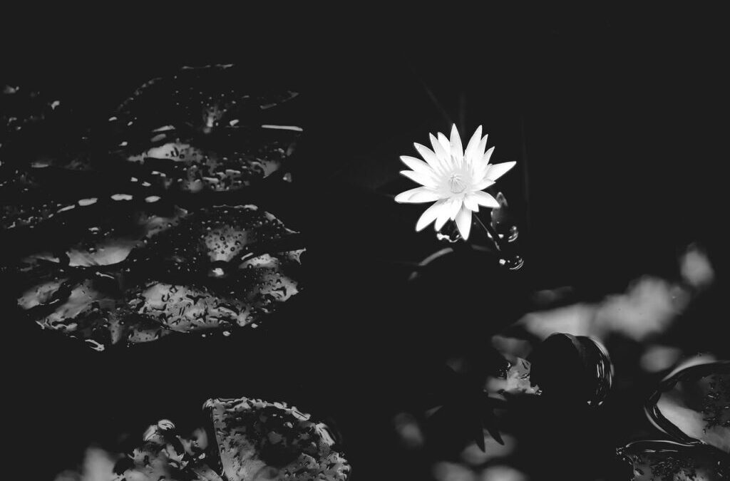 Water Shortage / The Great Basin’s Water Woes: A Race…