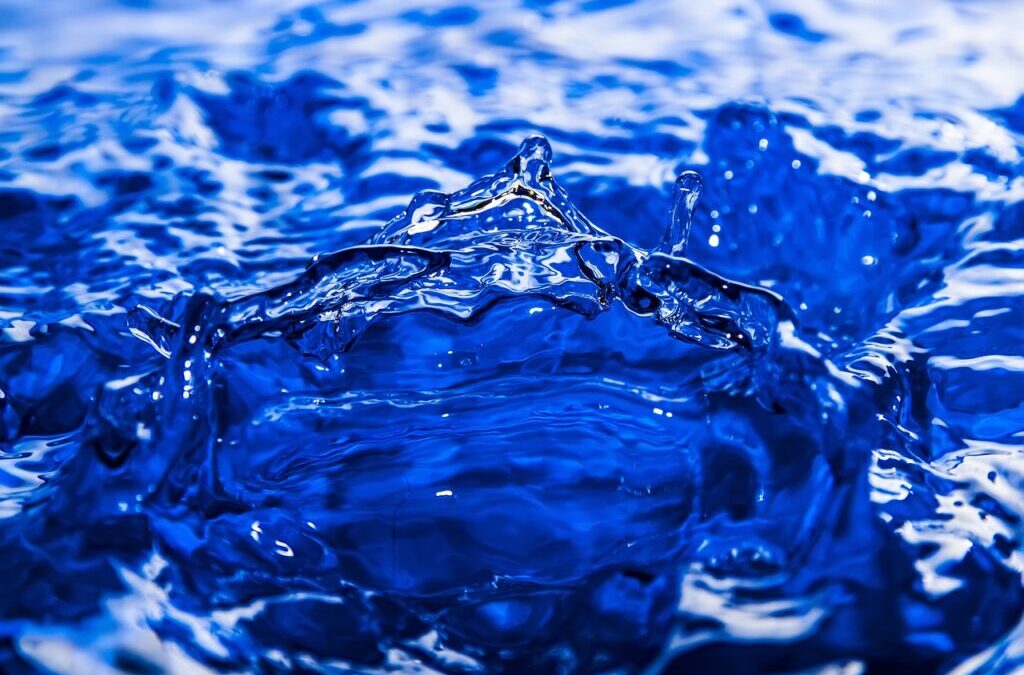 Water Shortage ~ The Great Basin: A Thirsty Land TL;DR:…