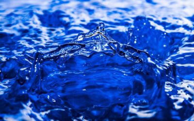 Water Shortage ~ The Great Basin: A Thirsty Land TL;DR:…