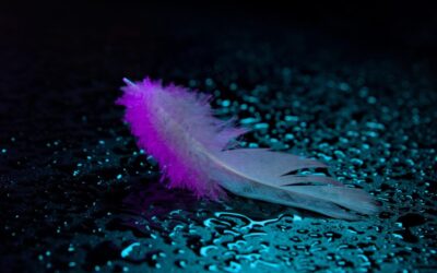 Water Shortage ~ 💦 The Great Basin: Where Water Is…