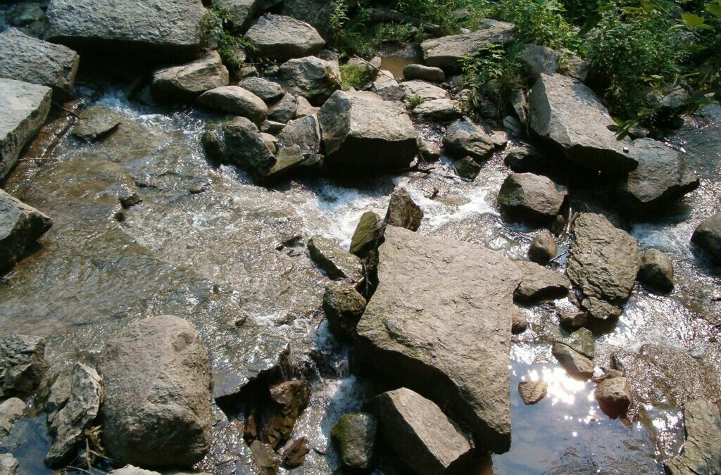 Water Conservation In Laguna Salada ~ Laguna Salada: A Desert…