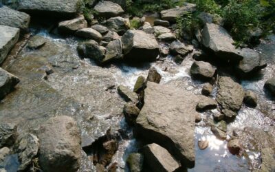 Water Conservation In Laguna Salada ~ Laguna Salada: A Desert…