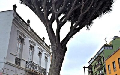 Water Conservation In Laguna Salada » Laguna Salada: A Thirsty…