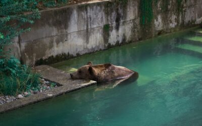 Water Conservation In Laguna Salada » The Laguna Salada: A…