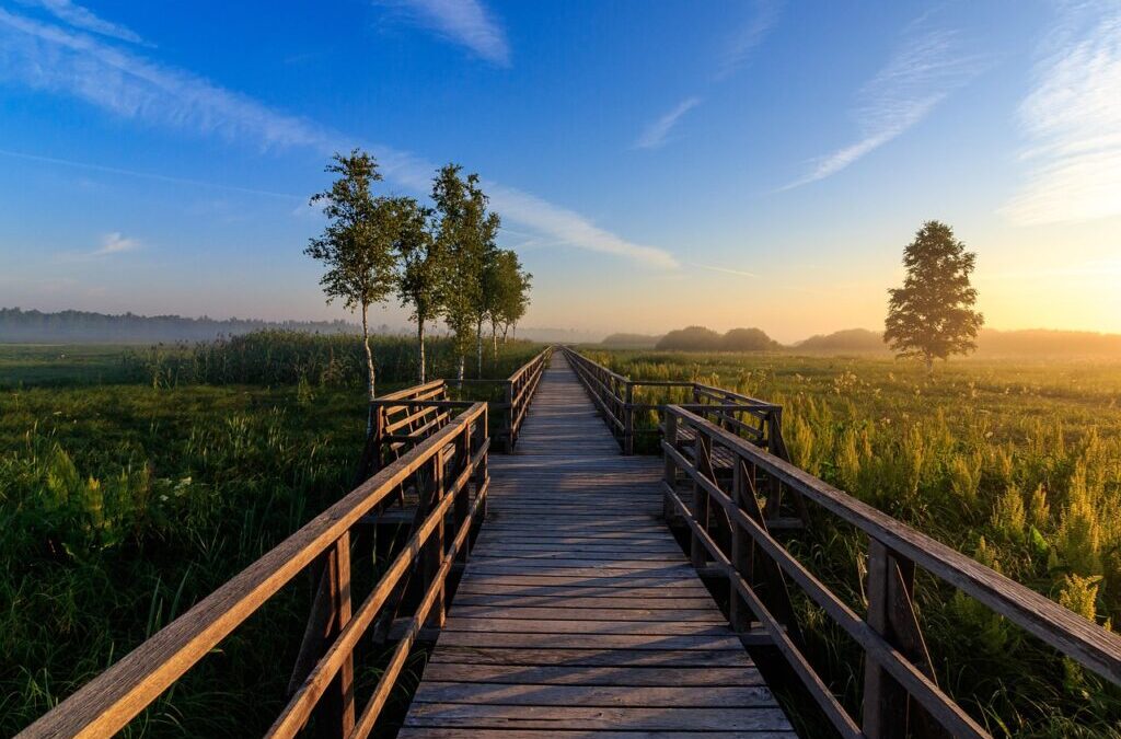 Water Conservation Programs / Saving Our Water: A Guide To…